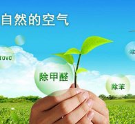 除甲醛對于住房安全和環境保護的作用有什么？