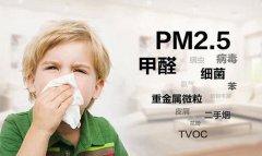 佛山辦公室除甲醛土方法 佛山新房除甲醛什么價格？