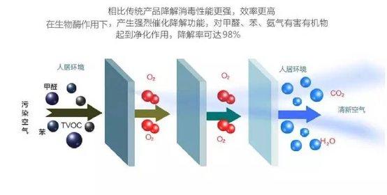 光觸媒、生物酶、空氣凈化器，哪家除甲醛公司效果好？