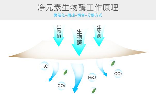 光觸媒、生物酶、空氣凈化器，哪家除甲醛公司效果好？